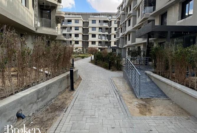 8395350 - Property Image 3