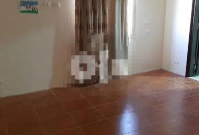 8071532 - Property Image 3