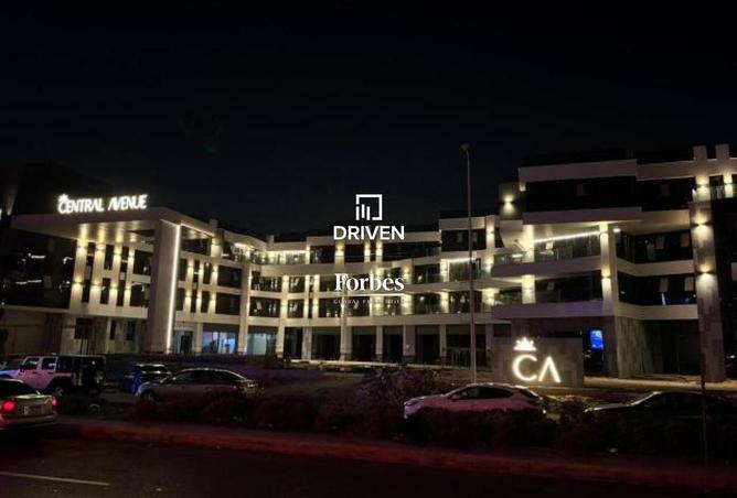 8229505 - Property Image 3