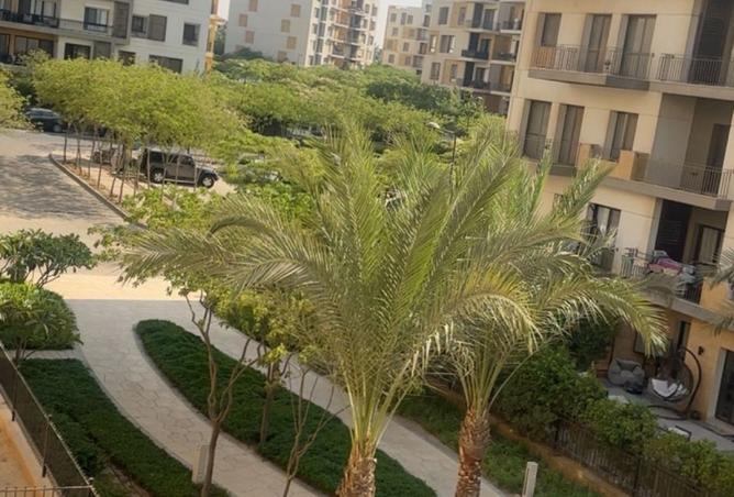 8507155 - Property Image 3