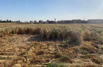 قطعة أرض - استوديو للبيع في مدينة الفيوم - الفيوم