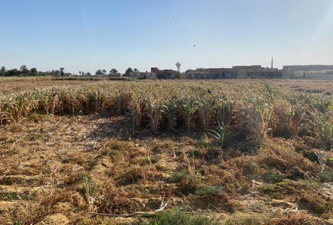 8142155 - الصورة الرئيسية للعقار