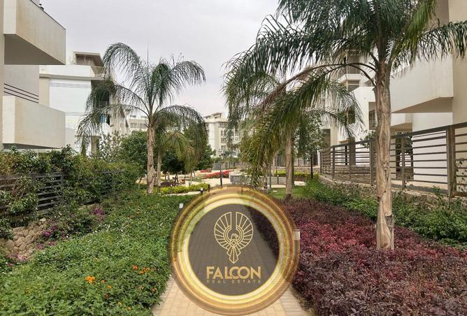 8430929 - Property Image 3