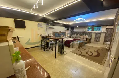 Apartment - Studio - 1 Bathroom for rent in Sri Lanka St. - Zamalek - Cairo