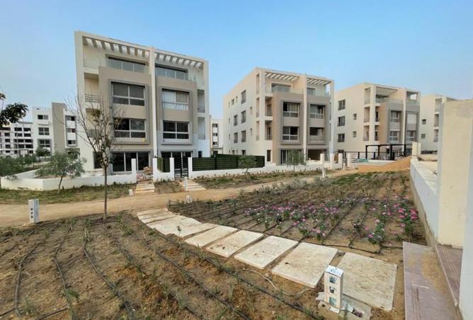 8322562 - صورة العقار 3