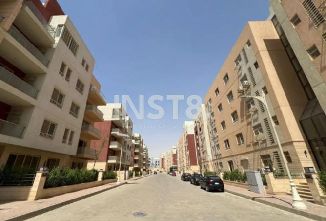 8311983 - Property Image 3