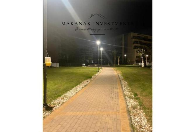 8039858 - صورة العقار 3
