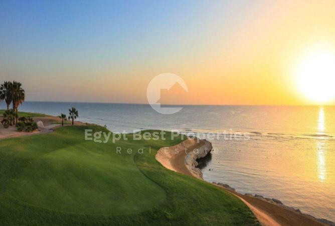 8429355 - Property Image 3