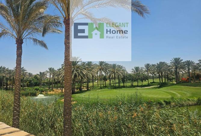 8443929 - صورة العقار 3