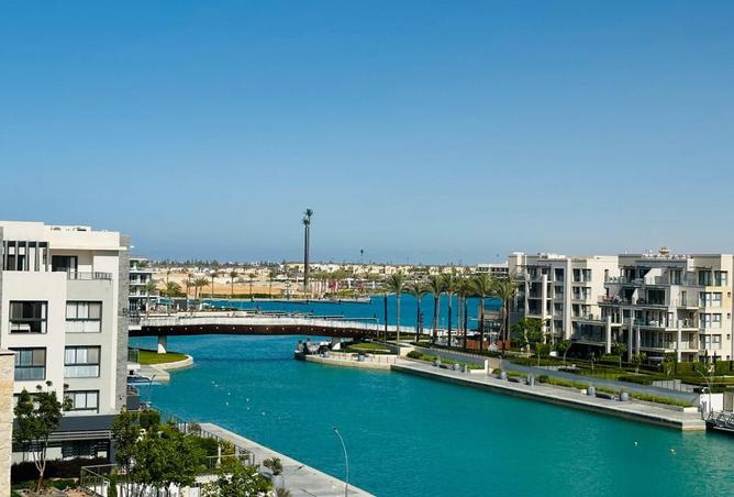 7849517 - صورة العقار 2