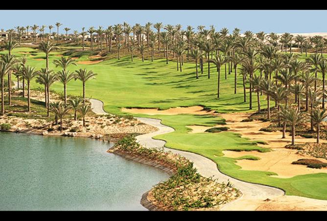 8559224 - Property Image 3