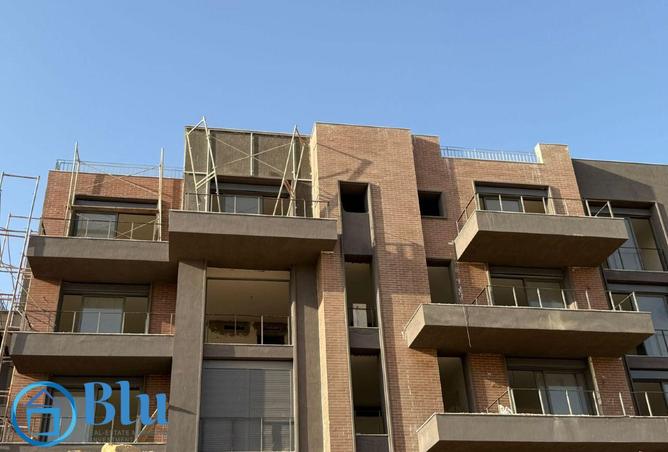 8148516 - Property Image 3