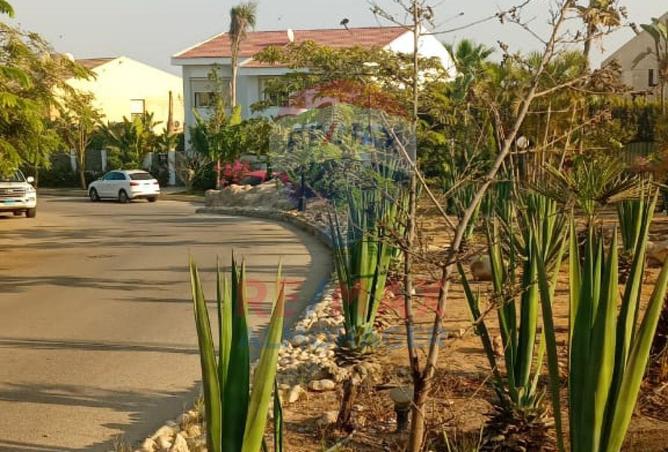 8296893 - Property Image 2