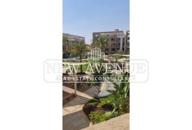 8341500 - صورة العقار 3