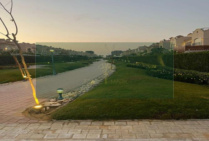 7984661 - Property Image 3