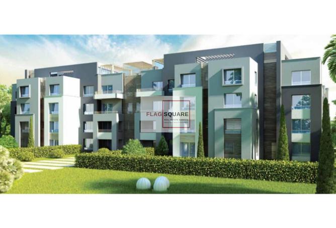 8155951 - Property Image 3