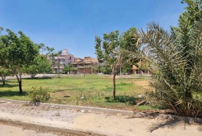 8011806 - صورة العقار 2