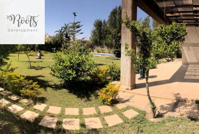 8234746 - صورة العقار 3