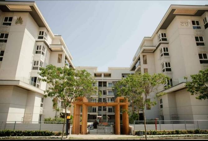 8166501 - صورة العقار 3