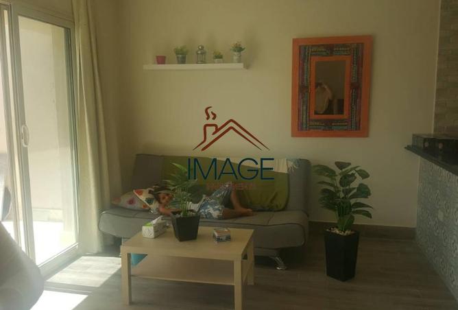 8434195 - Property Image 3