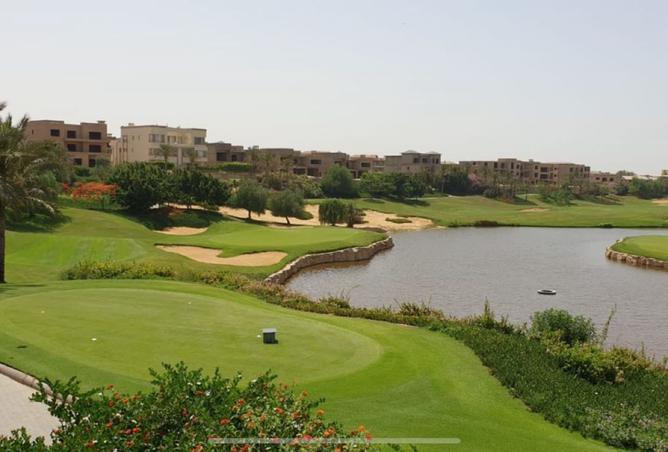 7966002 - صورة العقار 3