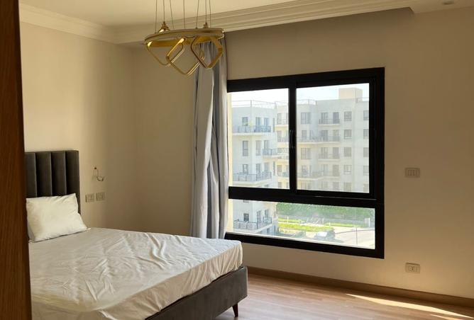 8357261 - Property Image 3