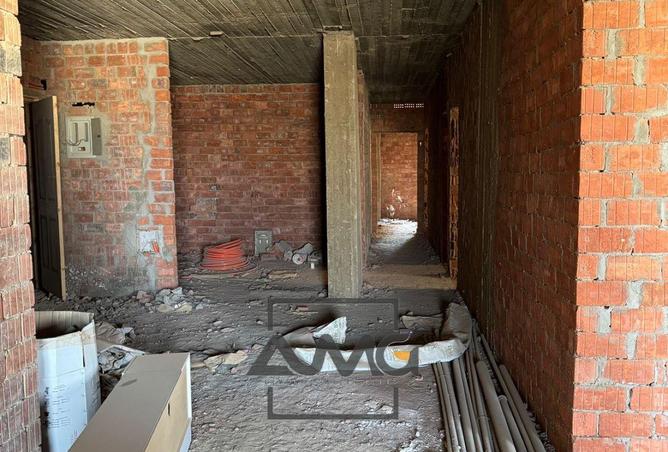 8383248 - Property Image 3