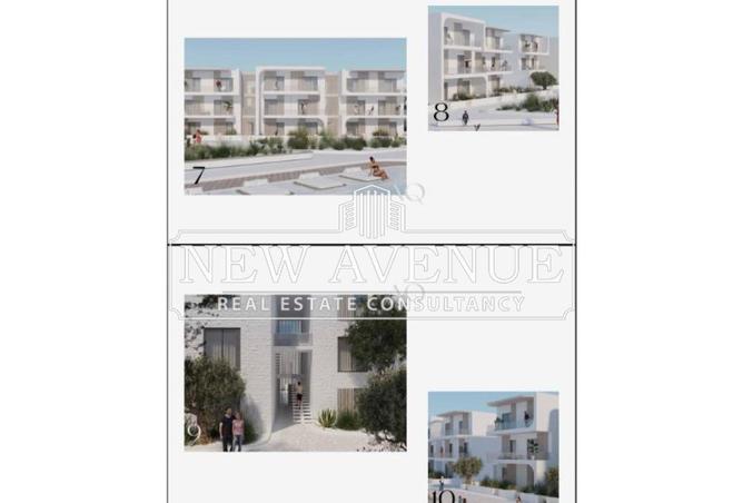 8250853 - Property Image 3