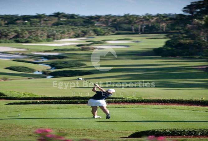 8209393 - Property Image 2