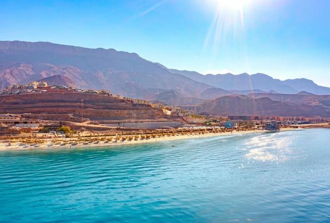 8300248 - Property Image 3