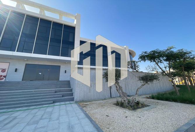 7991909 - صورة العقار 2
