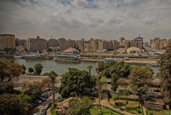 7946928 - صورة العقار 2