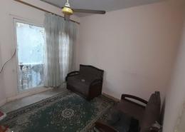 شقة - 1 غرفة نوم - 1 حمام for للايجار in الدقي - الجيزة