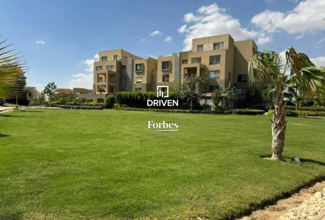 8235248 - Property Image 2