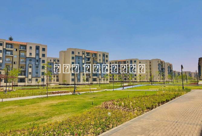7800469 - الصورة الرئيسية للعقار