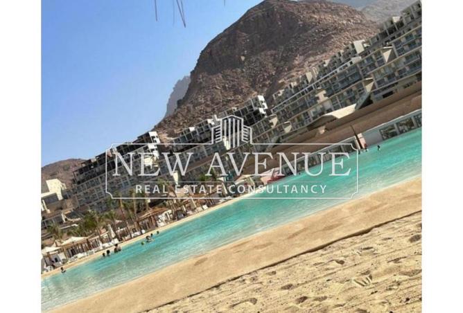 8431753 - Property Image 3