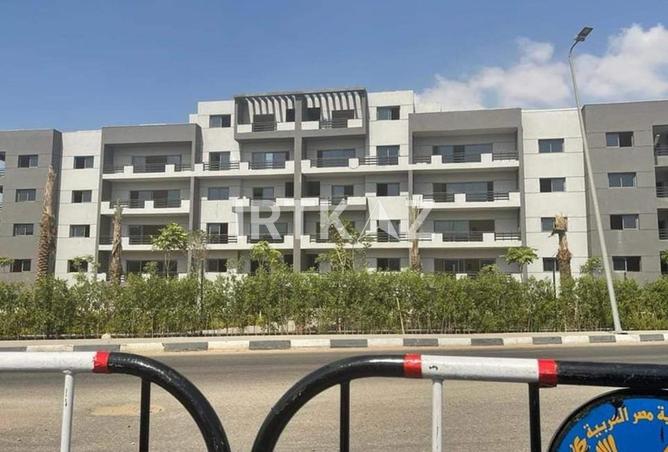 8027677 - صورة العقار 3