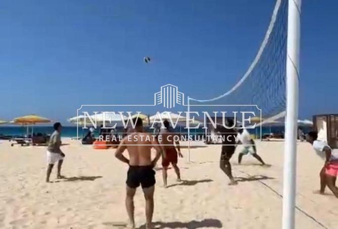 7986134 - Property Image 2