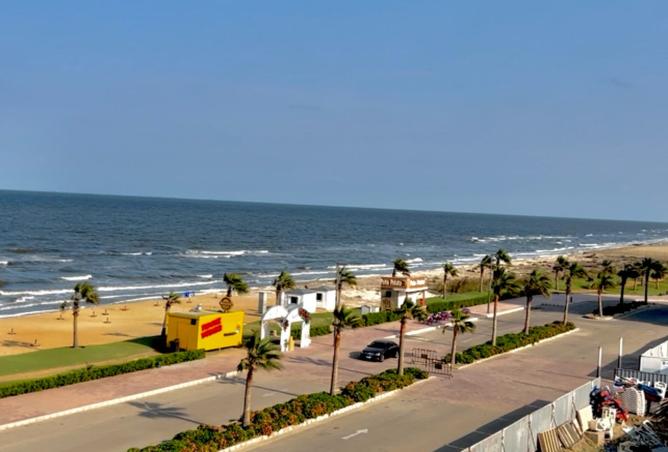 8480810 - صورة العقار 3