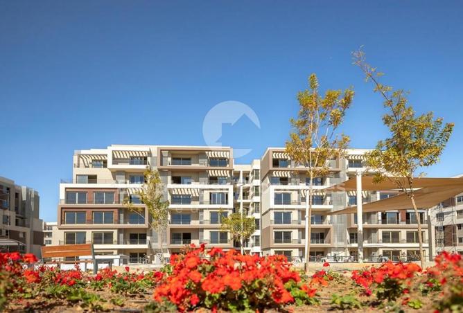 8164175 - Property Image 2