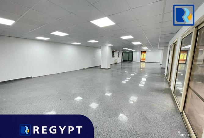 8162128 - Property Image 3