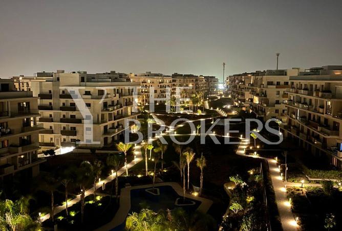 8038567 - صورة العقار 2