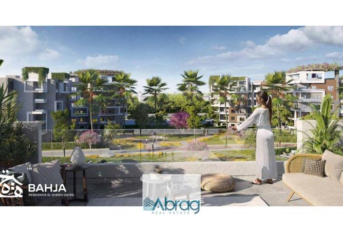 8189904 - Property Image 3