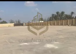 Warehouse - Studio - 4 Bathrooms for rent in Industrial Area 10th Ramadan - 10th of Ramadan City - Sharqia