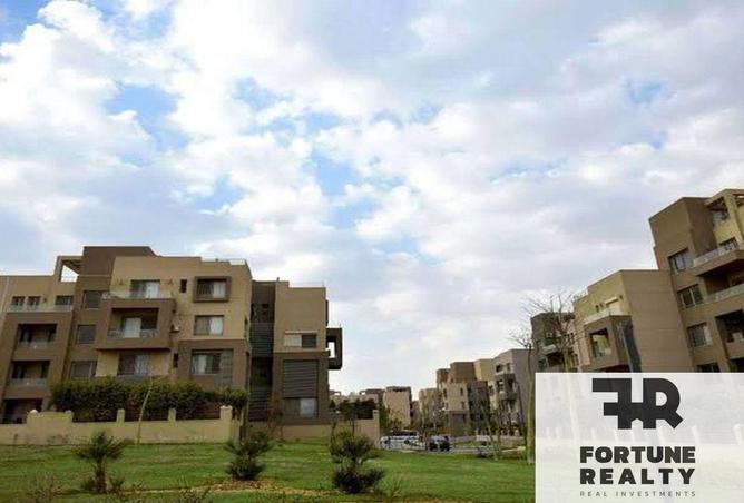 8358813 - صورة العقار 2