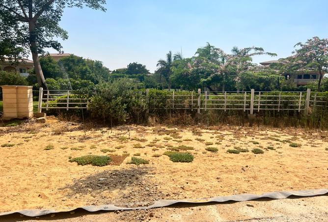 8333241 - Property Image 3