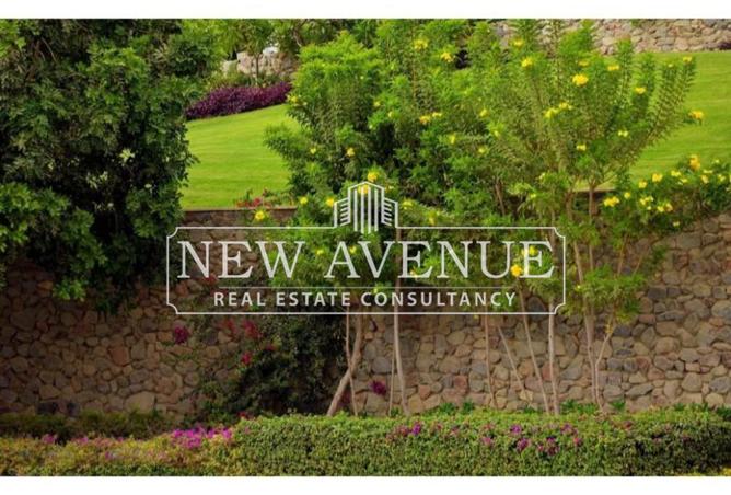 8017534 - Property Image 3