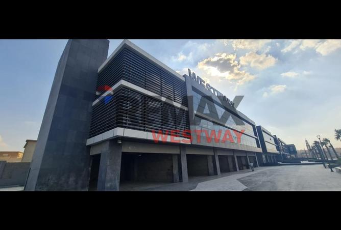 8334515 - Property Image 3