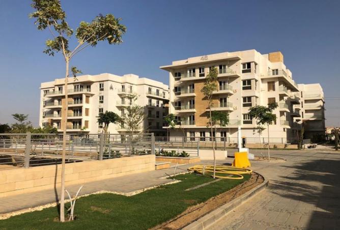7972829 - Property Image 3