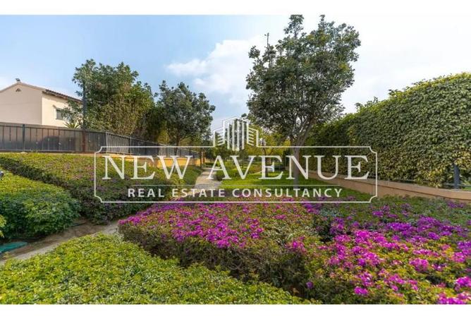 8195374 - صورة العقار 3